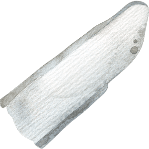 Déodorant Solide Bio Fraîcheur - Wonder Bras - Pulpe de Vie